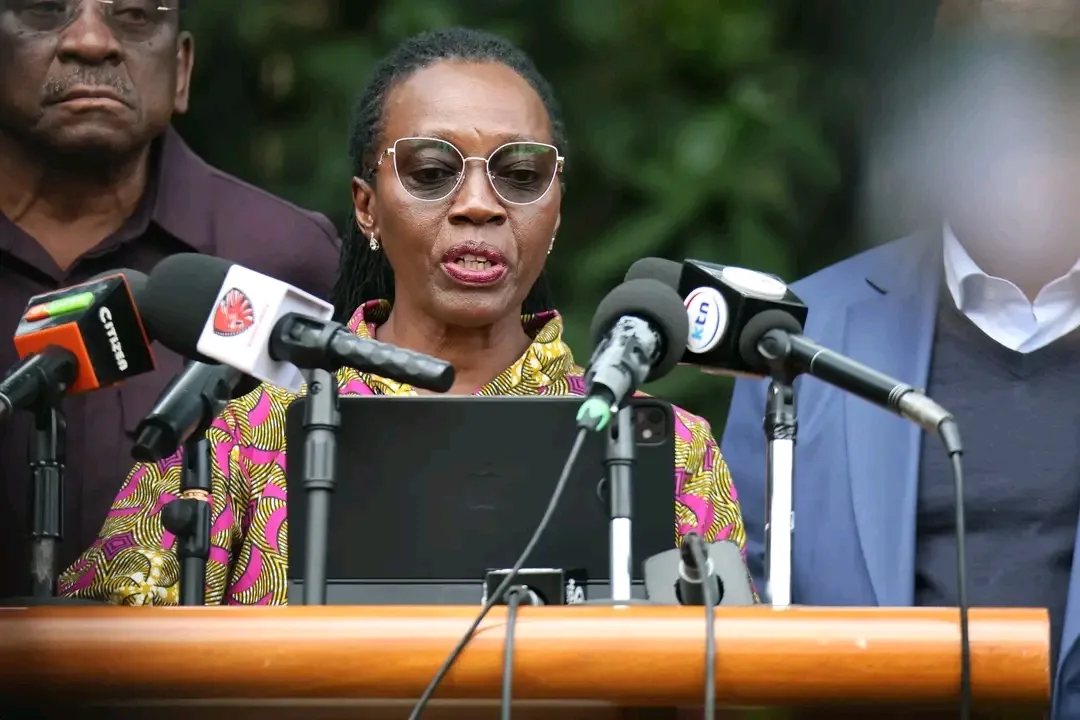 United Opposition Warns of ‘Organised’ Political Violence Ahead of 2027 Election