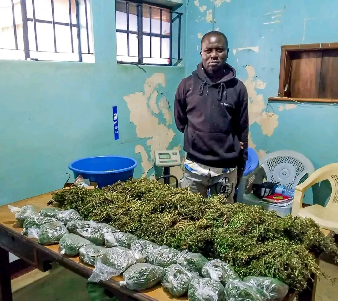 Police Seize Over 25kg of Bhang in Juja and Kimilili, Arrest Two Suspects