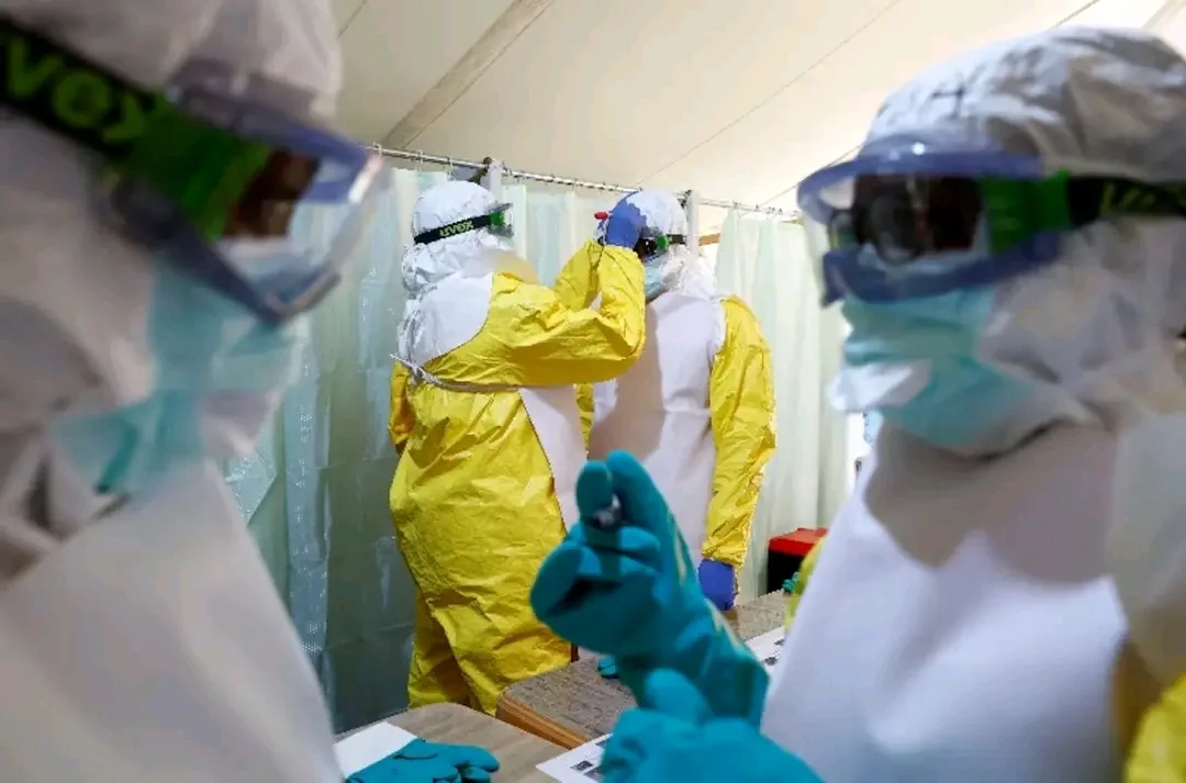 Kenya Ebola Update: Four New Cases Reportedly Raise Bundibugyo Virus Total to Seven