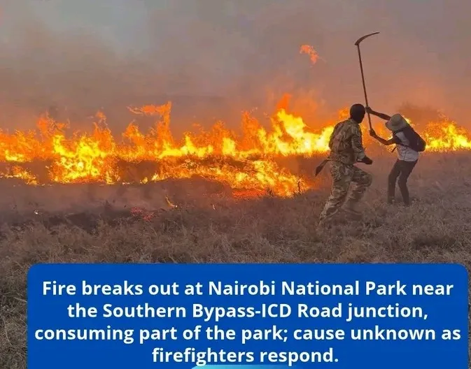 Nairobi national park on fire 🔥