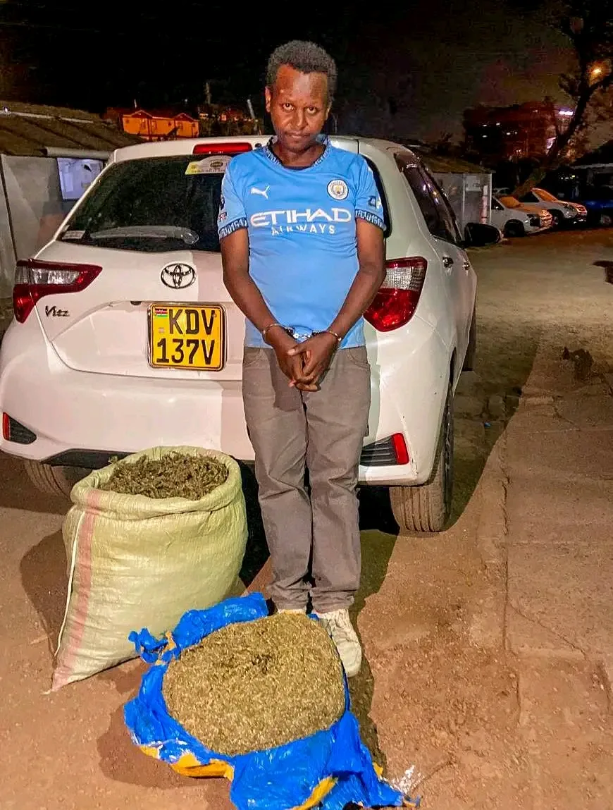 Police Seize Over 25kg of Bhang in Juja and Kimilili, Arrest Two Suspects