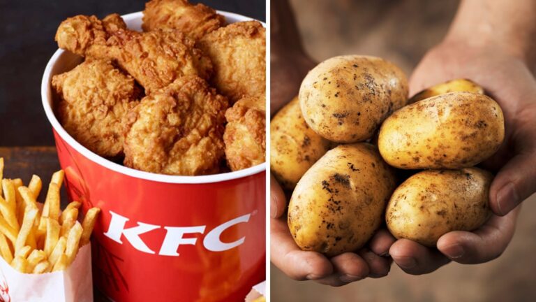 Kenyan Farmers now able to grow potatoes to supply KFC