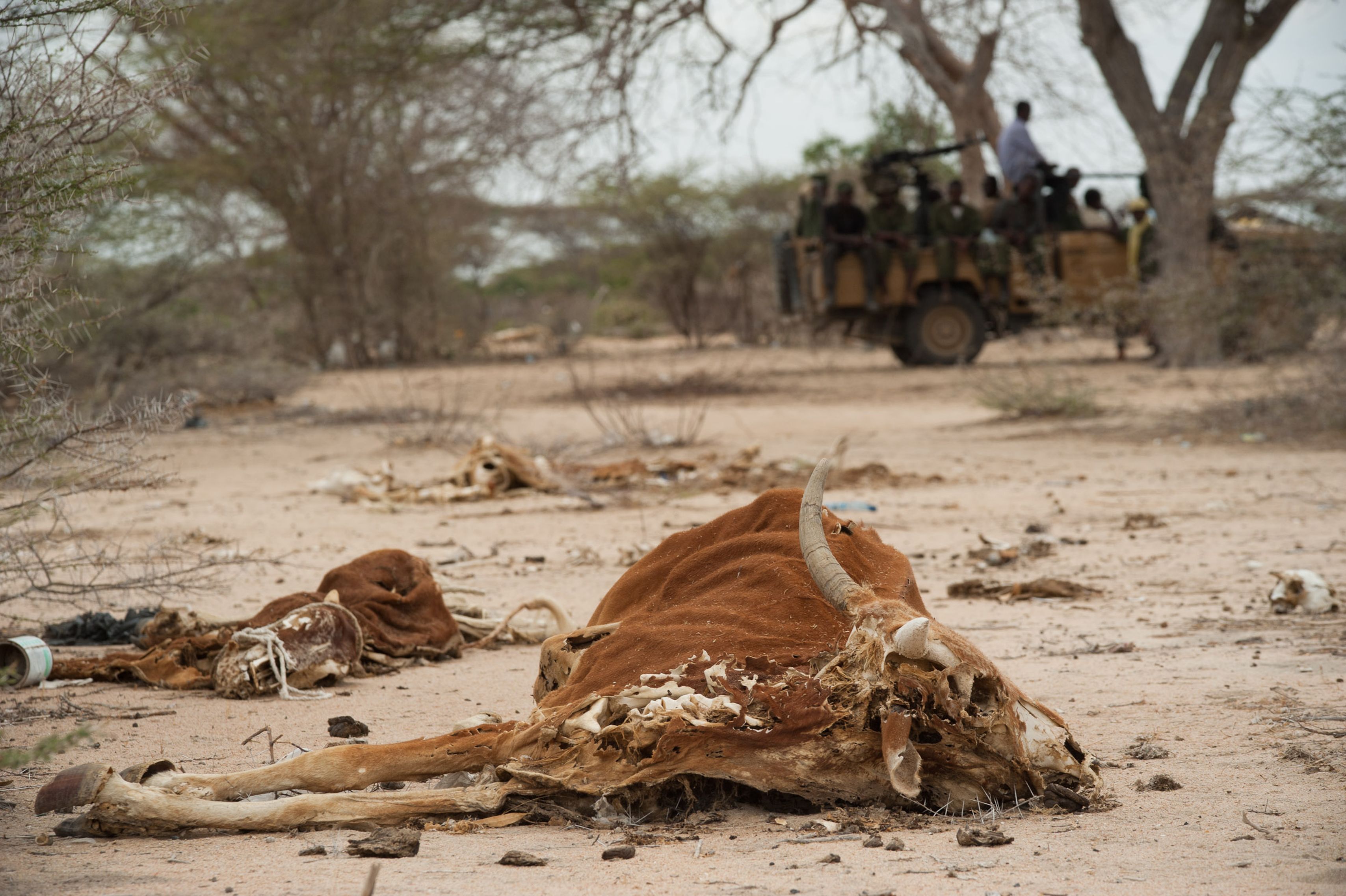 Kenyans protest…..#lowerfoodprices