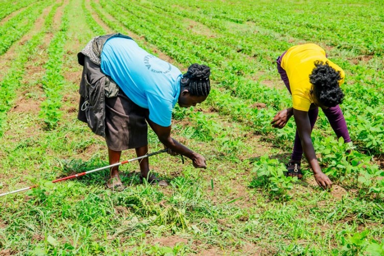 Persons with disabilities farm their way to a more inclusive future in Kenya