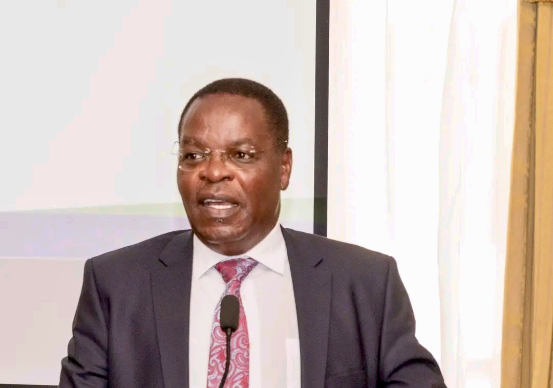 Inside the Dirty Paper Trail: Fake Credentials Fuel Public Service Looting