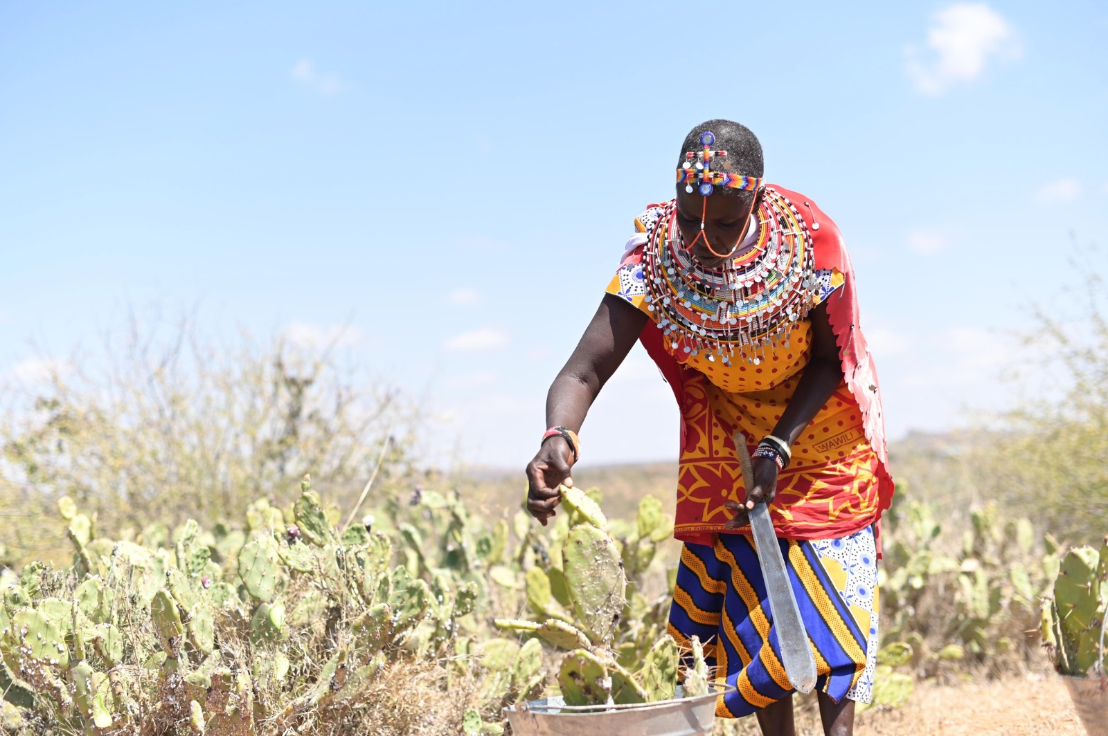 A System, Not a Project: What Northern Kenya Rangelands Trust Offers the World