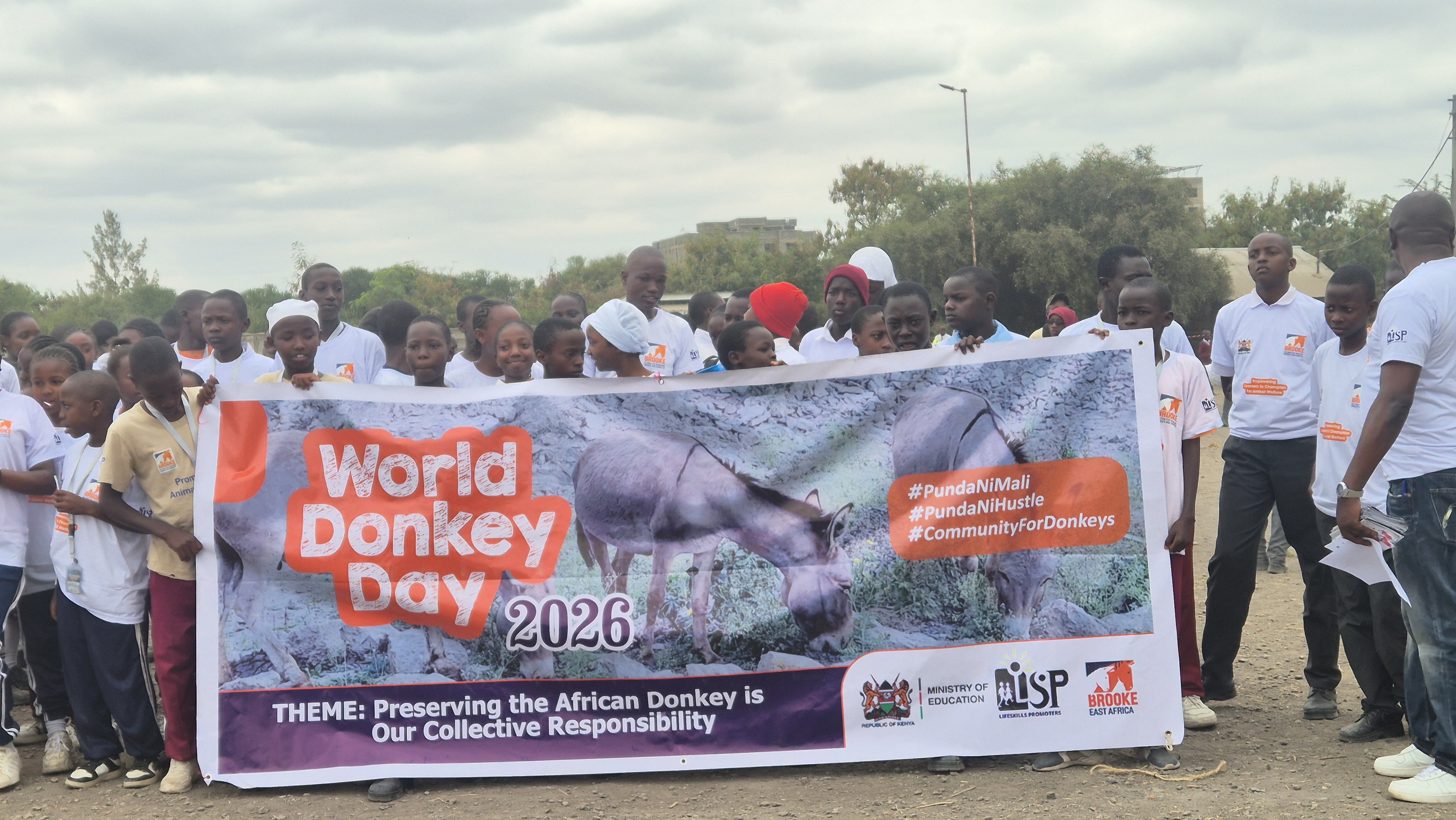 Nairobi Students Lead Protest Against Rising Donkey Slaughter as Kenya Faces Sharp Decline in Donkey Population